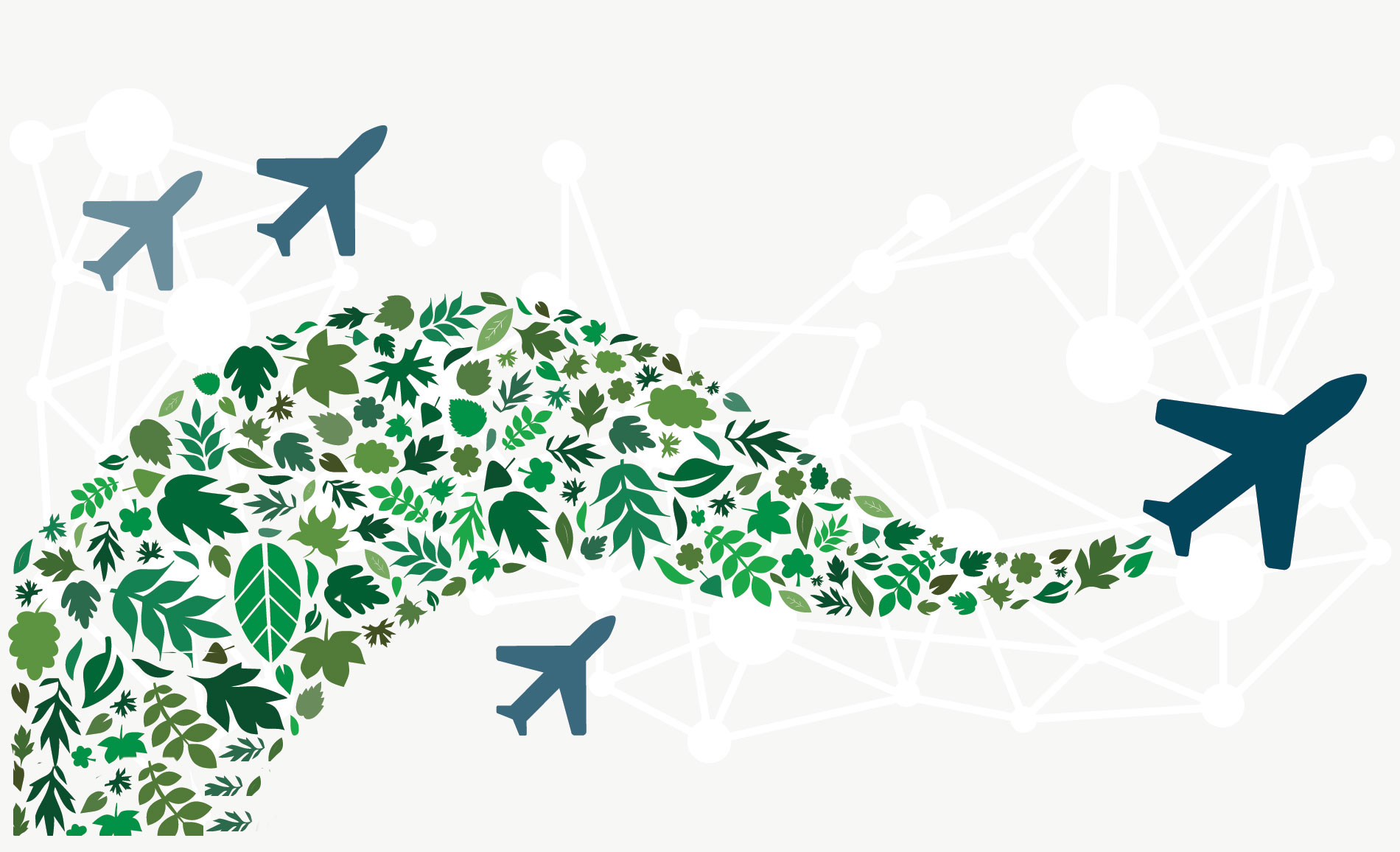 Sustainable Aviation Fuels (SAF) - building a long-term sustainable aviation industry